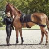 CATAGO Fir-Tech Trainings zadeldekje met elastische banden Dressuur - Afbeelding 2