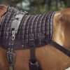 CATAGO Fir-Tech Trainings zadeldekje met elastische banden Dressuur - Afbeelding 3
