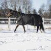 CATAGO Fir-Tech Winterdeken 150 g - Afbeelding 3