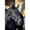 CATAGO Fir-Tech Halster - Afbeelding 3
