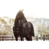 CATAGO Fir-Tech Halster - Afbeelding 8