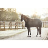 CATAGO Fir-Tech Halster - Afbeelding 7