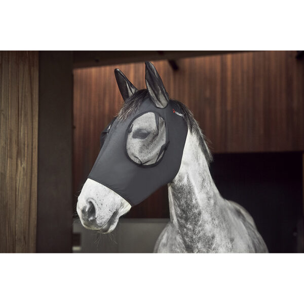 Paard met CATAGO FIR-Tech vliegenmasker
