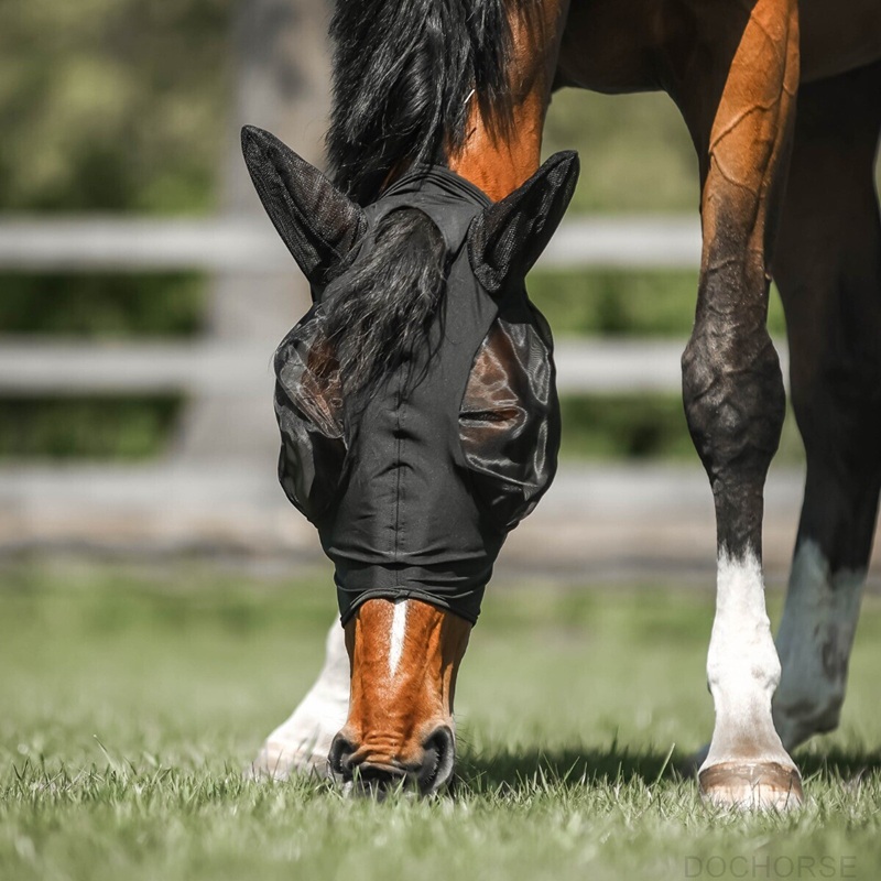 Paard met CATAGO FIR-Tech vliegenmasker