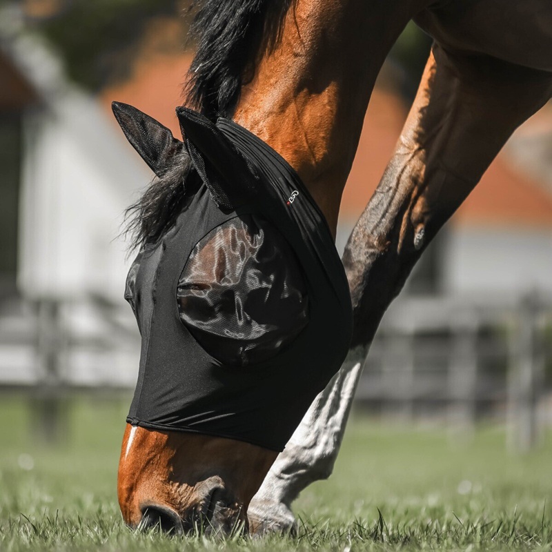 Paard met CATAGO FIR-Tech vliegenmasker