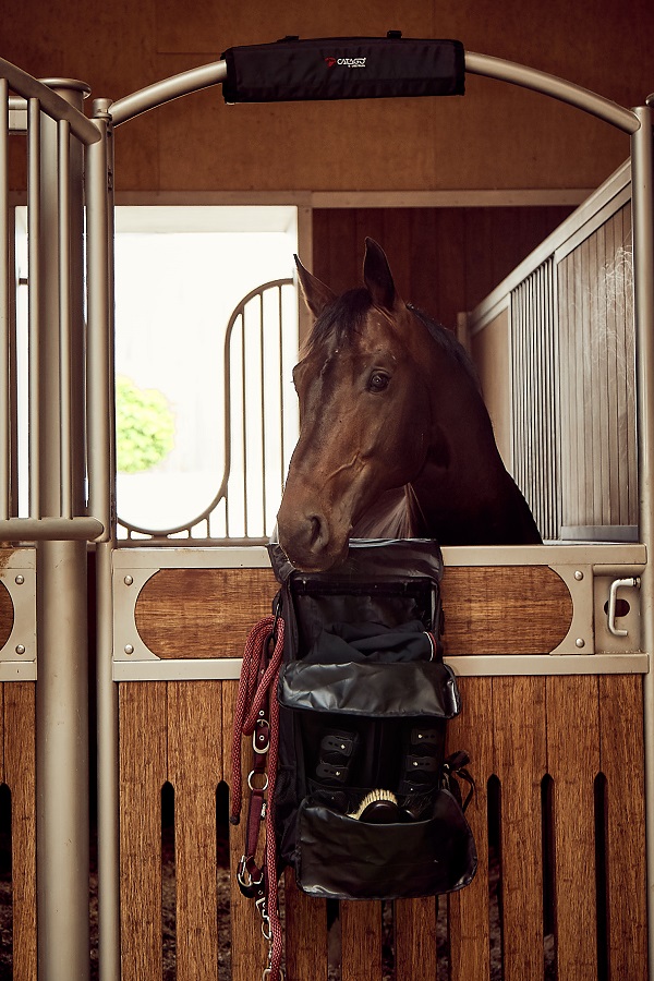 CATAGO hoofdbeschermer staldeur zwart met memory foam vulling en bevestigingsbanden