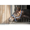 Catago Halster Goud met zwarte details - Afbeelding 10