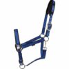 Catago Halster Goud met zwarte details - Afbeelding 11
