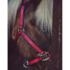 Catago Halster Goud met zwarte details - Afbeelding 7