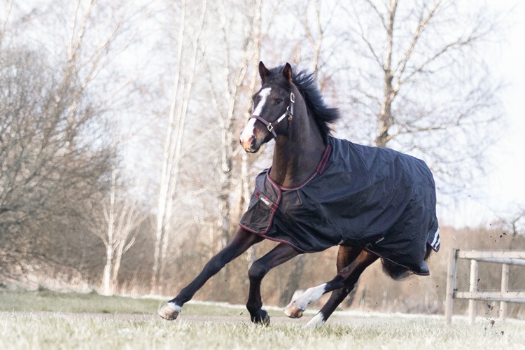 CATAGO Dual Pro paardendeken 100g met 100g liner