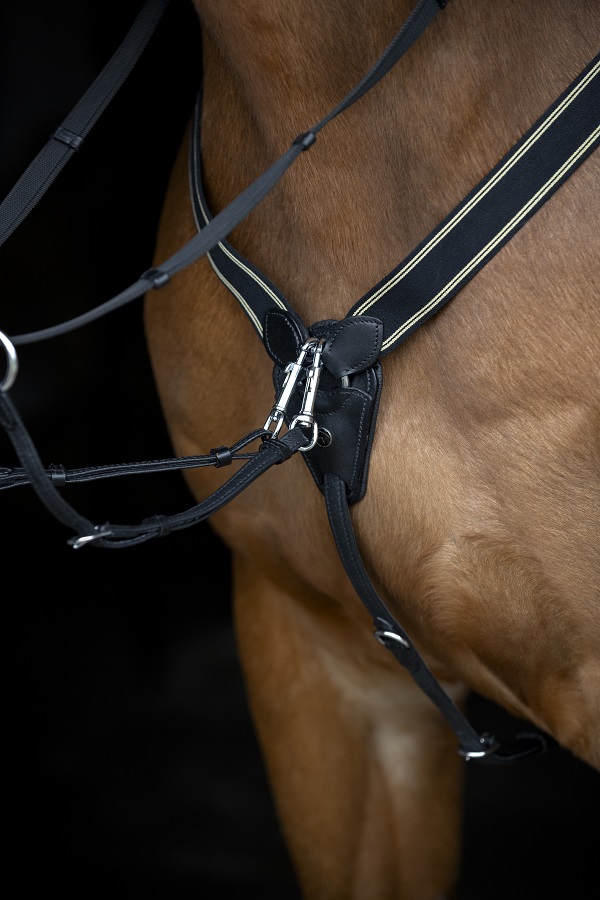 CATAGO borsttuig met afneembare martingaal aan paard