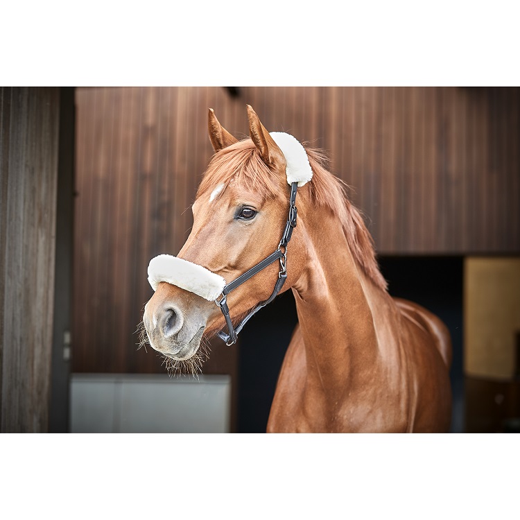 CATAGO leren halster zwart met afneembaar faux fur gedragen door paard
