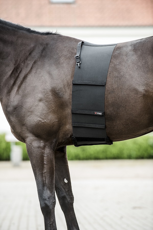 CATAGO Buikbeschermer (body bandage) - Afbeelding 4