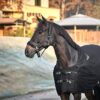 CATAGO Fir-Tech therapie deken Blauw/Navy - Afbeelding 5