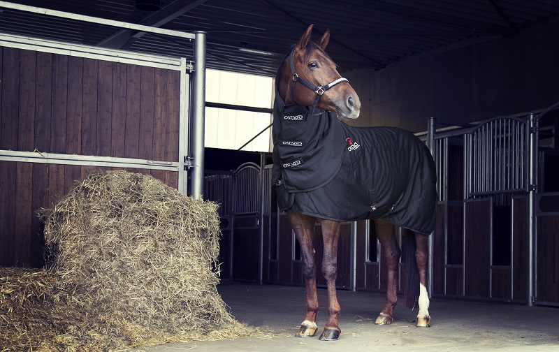 CATAGO Fir-Tech hals zwart – therapiehals voor paard