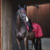CATAGO Fir-Tech Dressage Beschermers FW'23 Rood (jester red) - Afbeelding 3