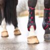 CATAGO Fir-Tech Dressage Beschermers FW'23 Rood (jester red) - Afbeelding 4
