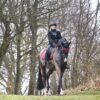 CATAGO Fir-Tech Dressage Beschermers FW'23 Rood (jester red) - Afbeelding 5
