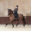 CATAGO Fir-Tech Elegant Zadeldekje Dressuur FW'23 donker bruin (After dark) - Afbeelding 3