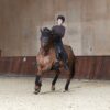 CATAGO Fir-Tech Elegant Zadeldekje Dressuur FW'23 donker bruin (After dark) - Afbeelding 2