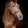 Catago Halster Goud met zwarte details - Afbeelding 23