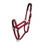 Catago Halster Goud met zwarte details - Afbeelding 31