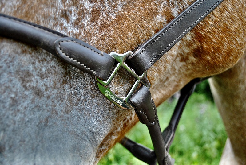 CATAGO leren halster bruin detail van gunmetal beslag