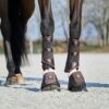 Horse Guard Leela Glitter springschoenen Bruin - Afbeelding 9