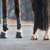 Horse Guard Leela Glitter springschoenen Bruin - Afbeelding 8