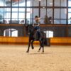 CATAGO Fir-Tech Performance zadeldekje Dressuur Plum Perfect / Paars - Afbeelding 12