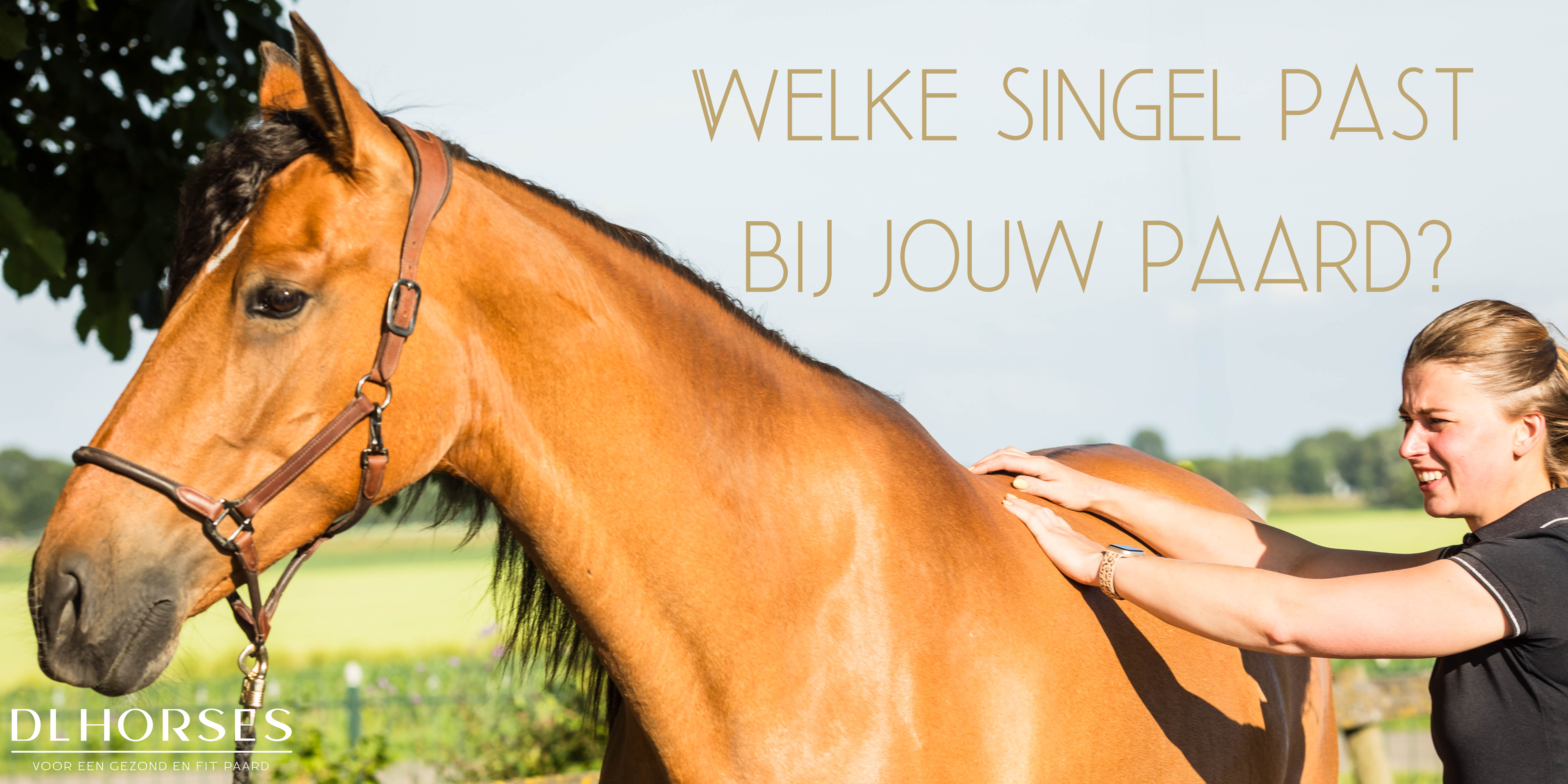 Welke singel past bij jouw paard? - DL Horses
