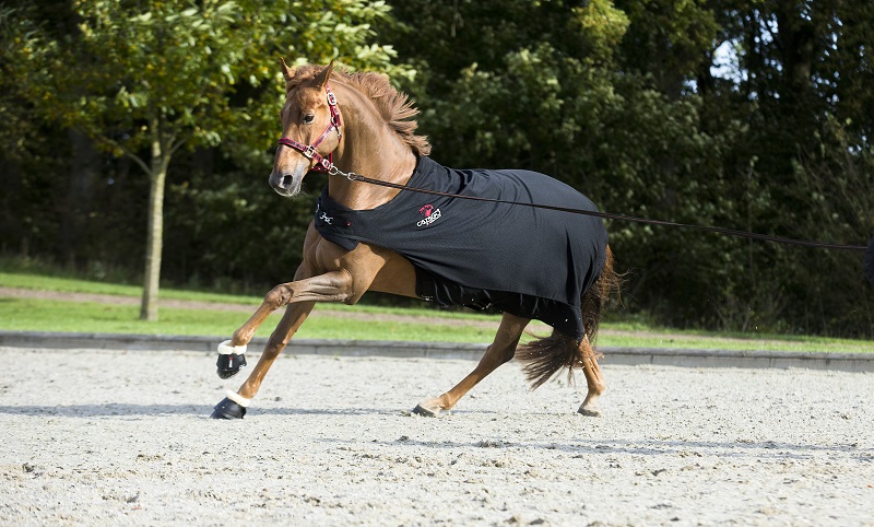 CATAGO Springschoenen Merino Wol Zwart - Afbeelding 3