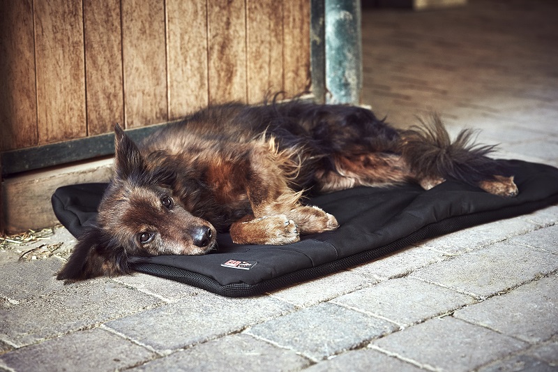CATAGO FIR‑Tech Pro verwarmd hondenkussen – infrarood ligkussen voor sport‑, jacht‑ en seniorhonden - Afbeelding 4