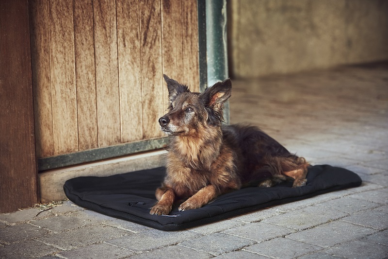 CATAGO FIR‑Tech Pro verwarmd hondenkussen – infrarood ligkussen voor sport‑, jacht‑ en seniorhonden - Afbeelding 5