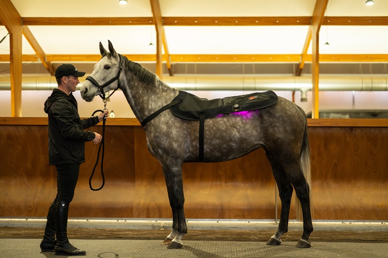 CATAGO FIR-Tech LED Therapy Pad X84 – Grote LED lichttherapie pad voor paard & ruiter (115 x 74 cm) - Afbeelding 4