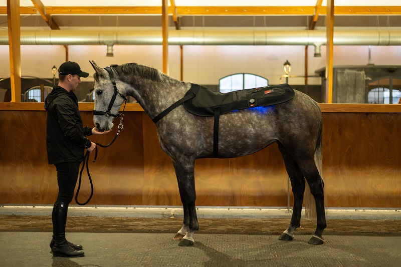 CATAGO FIR-Tech LED Therapy Pad X84 – Grote LED lichttherapie pad voor paard & ruiter (115 x 74 cm) - Afbeelding 7