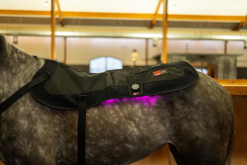 CATAGO FIR-Tech LED Therapy Pad X84 – Grote LED lichttherapie pad voor paard & ruiter (115 x 74 cm) - Afbeelding 6
