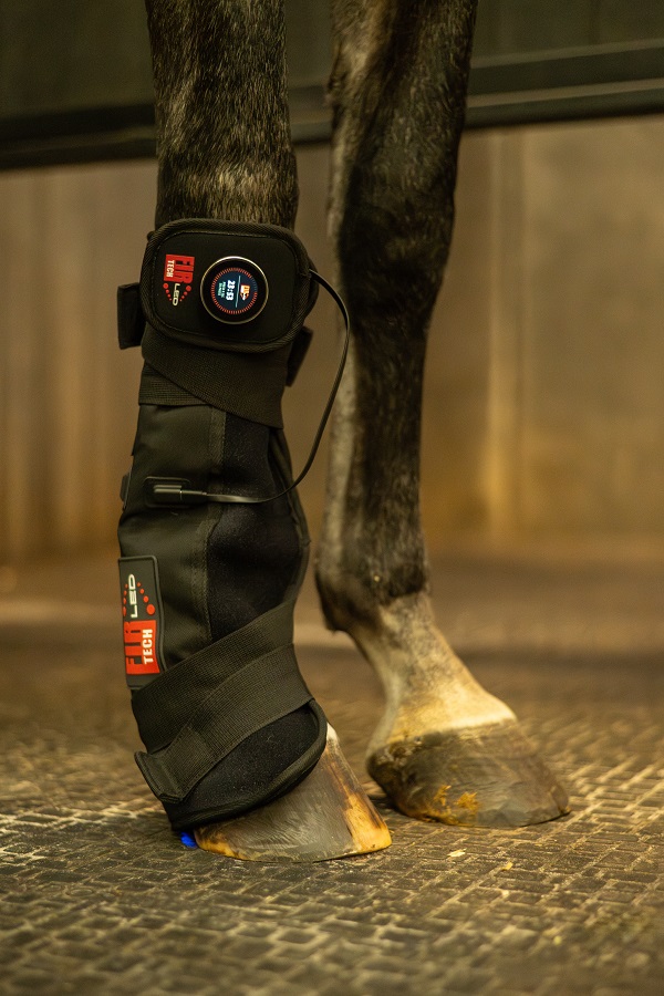 CATAGO FIR-Tech LED Therapy Pad Q27 – LED lichttherapie pad voor paard & ruiter (46 x 36 cm) - Afbeelding 6