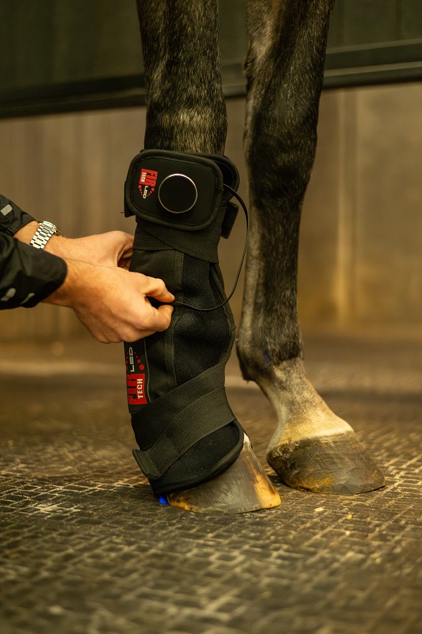 CATAGO FIR-Tech LED Therapy Pad Q27 – LED lichttherapie pad voor paard & ruiter (46 x 36 cm) - Afbeelding 3