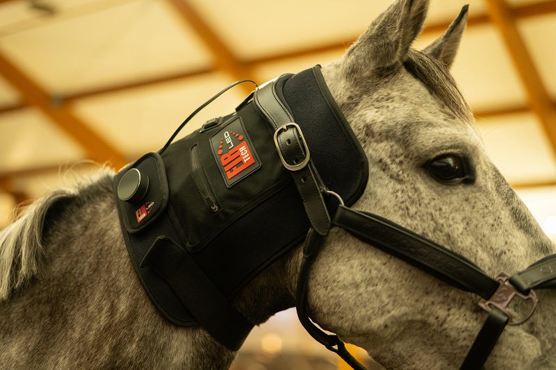 CATAGO FIR-Tech LED Therapy Pad Q27 – LED lichttherapie pad voor paard & ruiter (46 x 36 cm) - Afbeelding 4