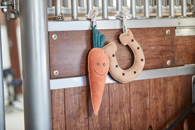 Horse Guard stal speeltje wortel – paardenspeelgoed tegen verveling - Afbeelding 2