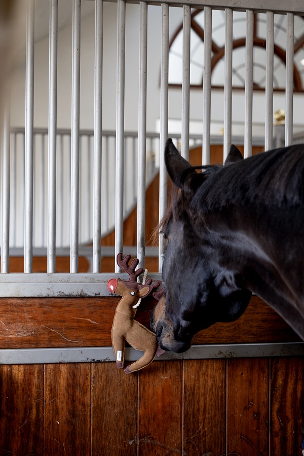 Horse Guard stal speeltje rendier – paardenspeelgoed tegen verveling - Afbeelding 4
