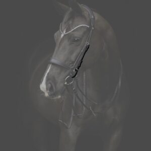 Catago Gentle Bridle bakstukken zwart – cheek pieces