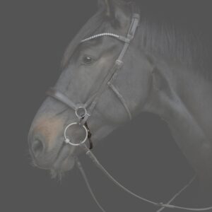 Catago Gentle Bridle bruin – extra stabiliteit met kinriem
