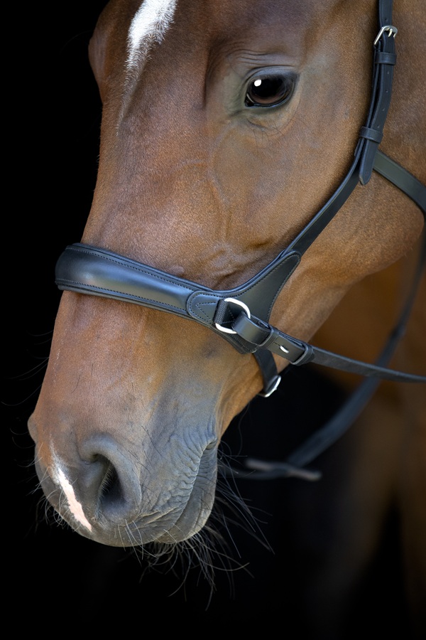 Detail van de anatomische neusriem van het Horse Guard bitloos hoofdstel