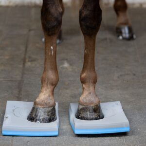 Horse Guard balance pads set van 2 onder voorhoeven van paard