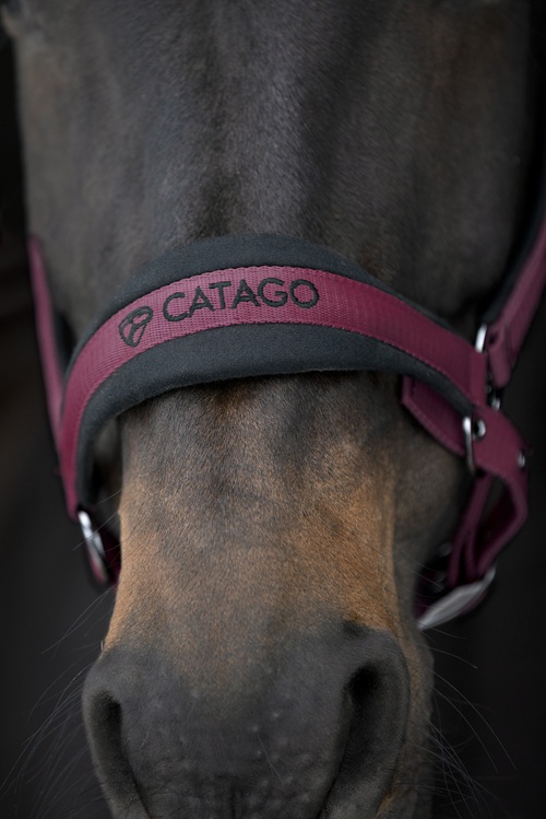 CATAGO FIR-Tech Halster 2.2 Maroon gevoerde neusriem